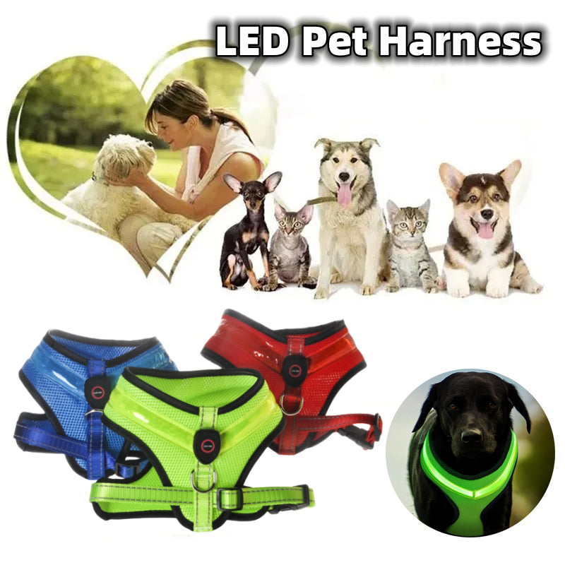 Monty’s Night-Glow LED High-Visibility Safety Harness