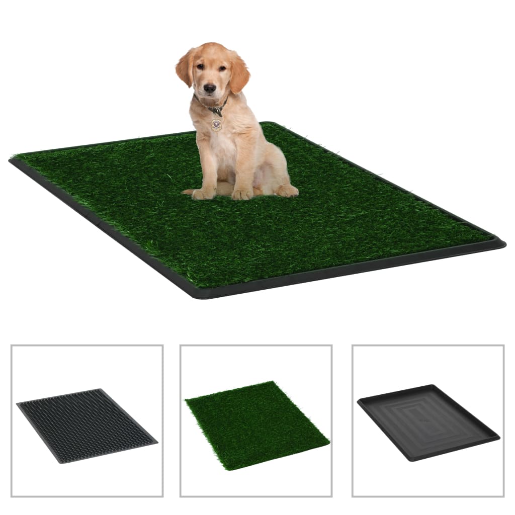 Monty’s "Always-Green" Indoor Pet Relief Station