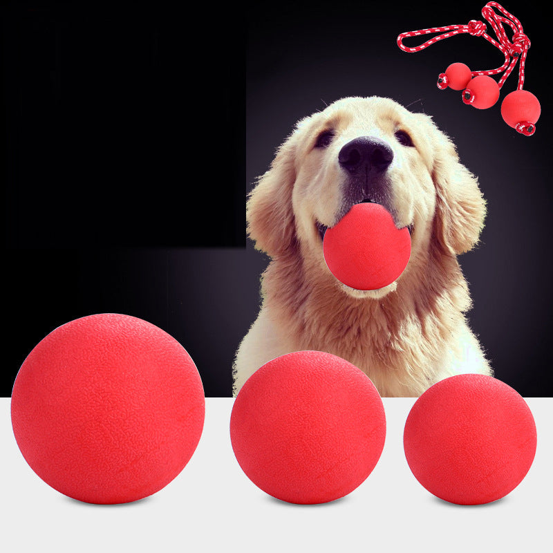 Monty’s Unpoppable High-Bounce Solid Rubber Toy