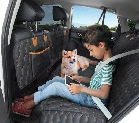Monty’s Car-Safe Sentinel 3-in-1 Travel Shield