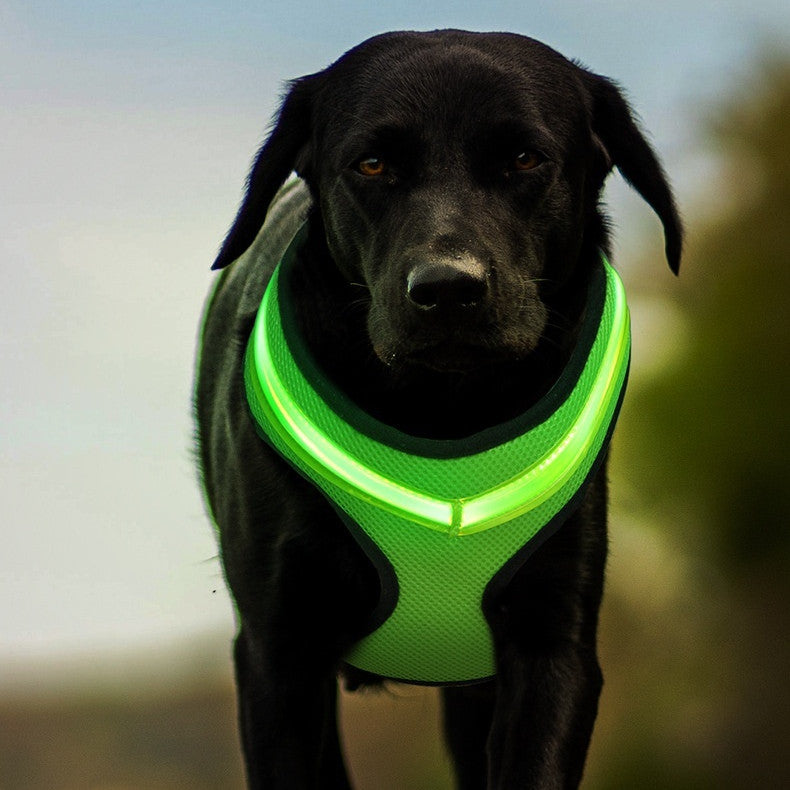 Monty’s Night-Glow LED High-Visibility Safety Harness