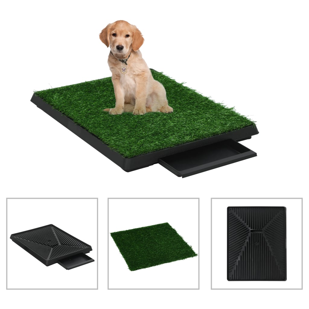Monty’s "Always-Green" Indoor Pet Relief Station