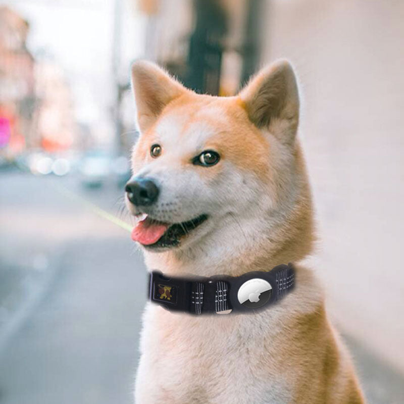 Monty’s Sentinel Integrated AirTag Tracking Collar (Peace-of-Mind Series)